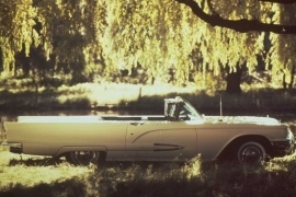 FORD Thunderbird 1959 None