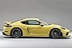 Cayman GT4