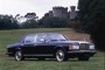 Silver Spur