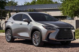LEXUS NX 2021 2022
