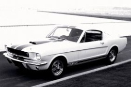 FORD Mustang GT 350 Shelby 1965 1966