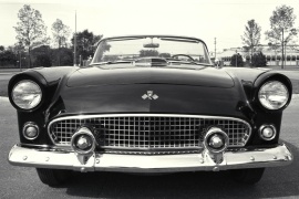 FORD Thunderbird 1956 None